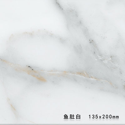 5904 鱼肚白