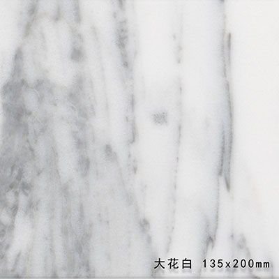 B3004 大花白