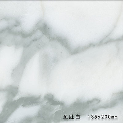 B8009 雪花白
