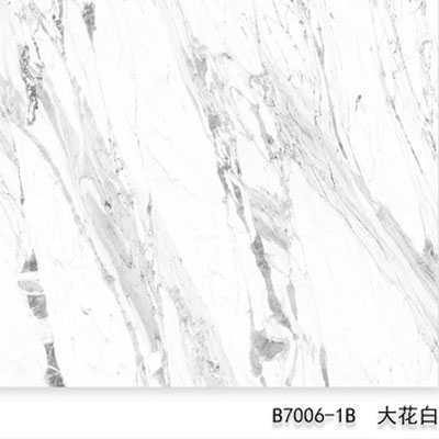 B7006-1B（纵横驰骋）大花白