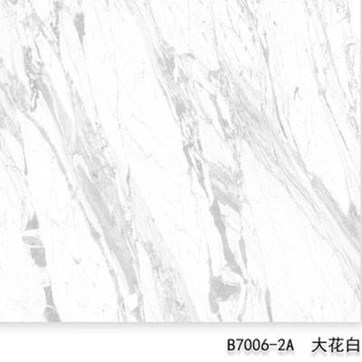 B7006-2A（纵横驰骋）大花白