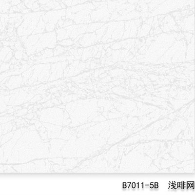 B7011-5B（时光荏苒）浅啡网