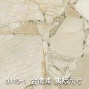5115-1（沙海淘金）金海滩