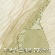 5115-3（沙海淘金）金海滩