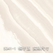 5341-1（橘子花开）橘子玉