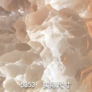 5353-原（卫星云图）红冰花