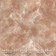 5353-1（卫星云图）红冰花