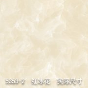 5353-2（卫星云图）红冰花