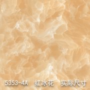 5353-4A（卫星云图）红冰花