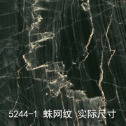 5244-1（丝绸之路）大理石