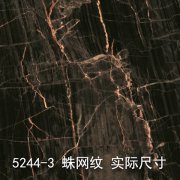 5244-3（丝绸之路）大理石