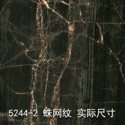 5244-2（丝绸之路）大理石