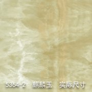 5364-2（若隐若现）麒麟玉