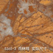 5365-3（热带雨林）雨林啡