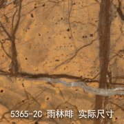 5365-2C（热带雨林）雨林啡