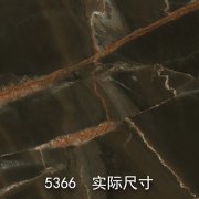 5366-原（花山谜窟）鲍鱼石