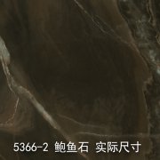 5366-2（花山谜窟）鲍鱼石