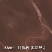 5366-1（花山谜窟）鲍鱼石