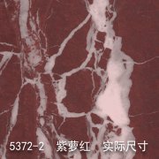 5372-2（姹紫嫣红）紫罗红