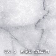 5501-2（轻舞飞扬）紫薇石