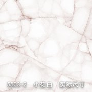 5503-2（馨海微澜）碎瓷纹