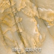 5513-原（帝王将相）帝皇金