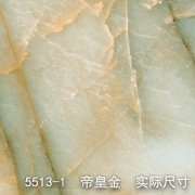 5513-1（帝王将相）帝皇金