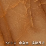 5513-3（帝王将相）帝皇金