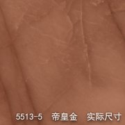 5513-5（帝王将相）帝皇金