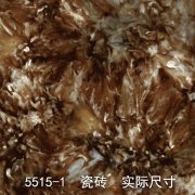 5515-1（金彩斑斓）瓷砖纹