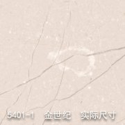 5401-1（金粉世家）金世纪
