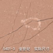 5401-3（金粉世家）金世纪