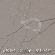 5401-4（金粉世家）金世纪