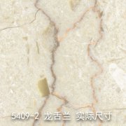 5409-2（幽谷雅兰）龙舌兰