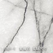 5501-1（轻舞飞扬）紫薇石