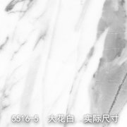 5516-5（一帆风顺）大花白