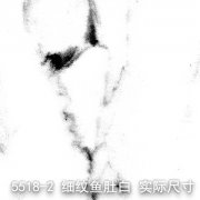 5518-2（似人年华）新细纹鱼肚白