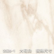 5526-1（飞泉白玉）大花白