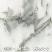 5525-1（百里挑一）鱼肚白