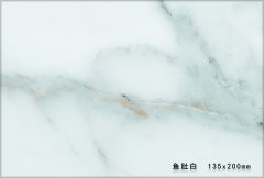 5904 鱼肚白