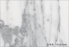 B3004 大花白