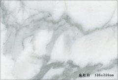 B8009 雪花白